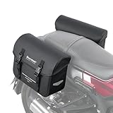 WILD HEART Motorradsatteltaschen wasserdichte Tasche Retro Tail Bag 20L(10L*2) für Sportster...