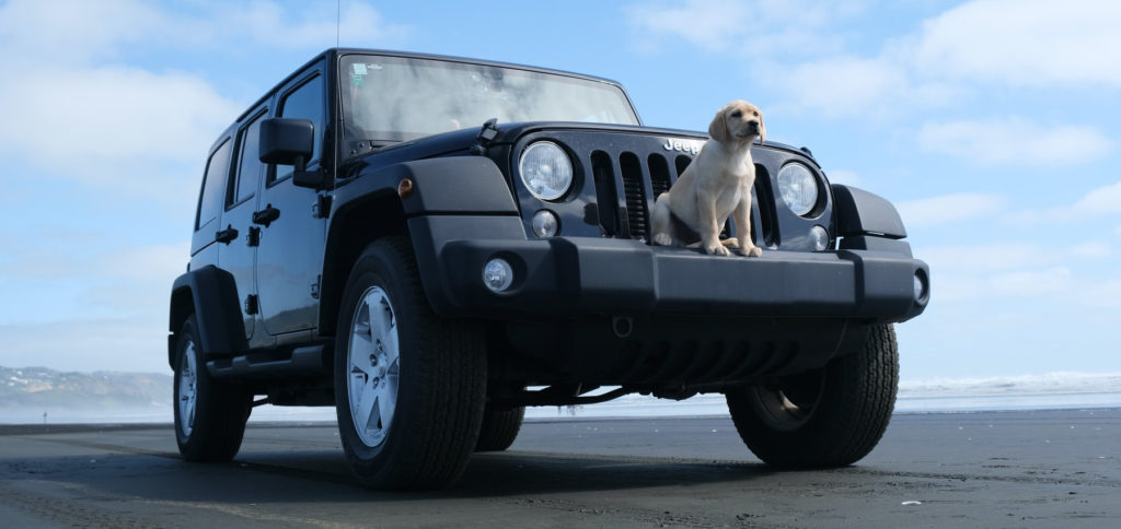 Sorgen Sie dafür, dass Ihr Hund identifizierbar ist, man Sie kontaktieren kann und dass Sie sich mit der Haustier-Einreise der zu bereisenden Länder auskennen. So klappt das Mitnehmen von Hund und Katze im Auto.